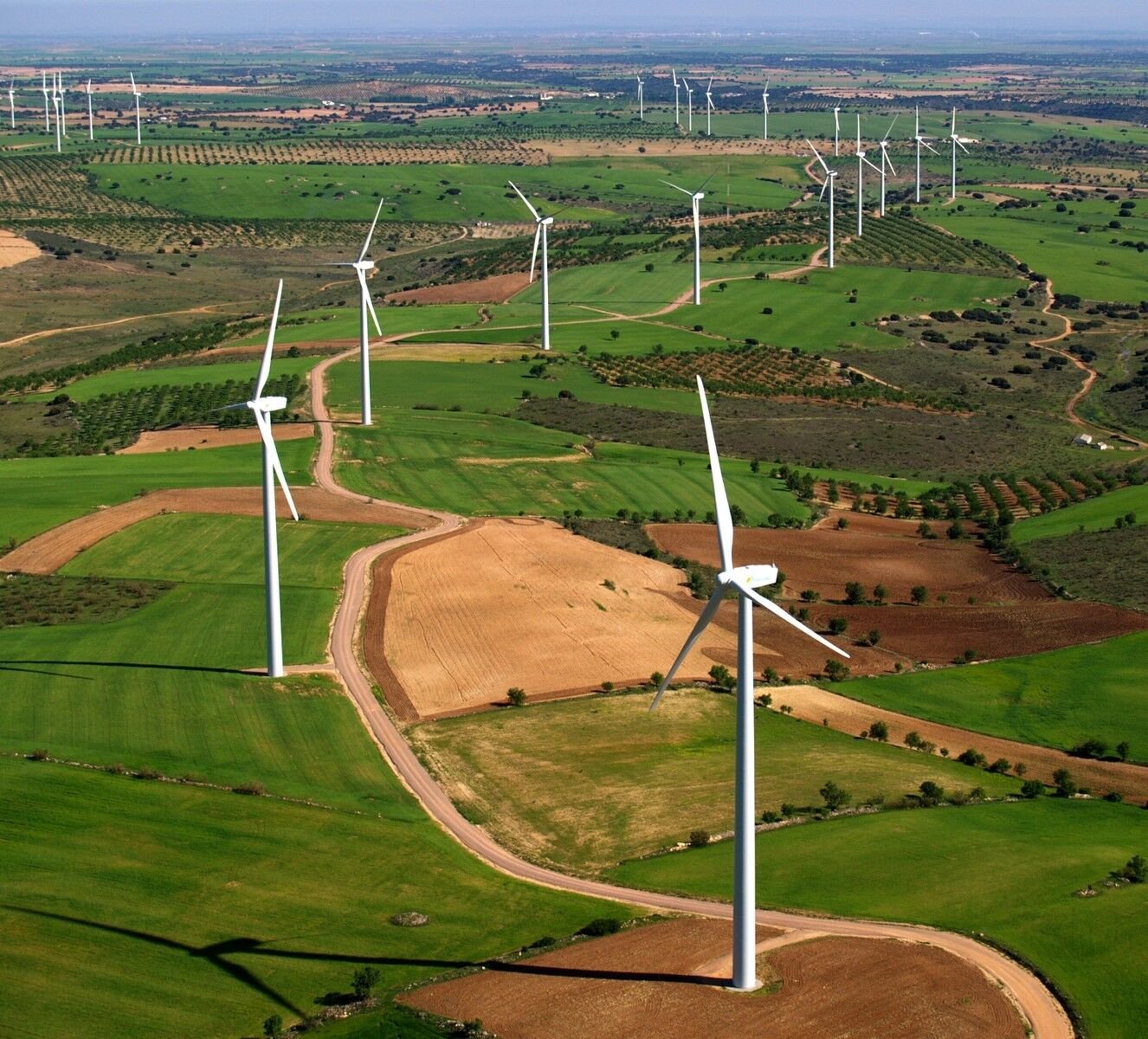 Aerogeneradores sobre campos verdes en primavera